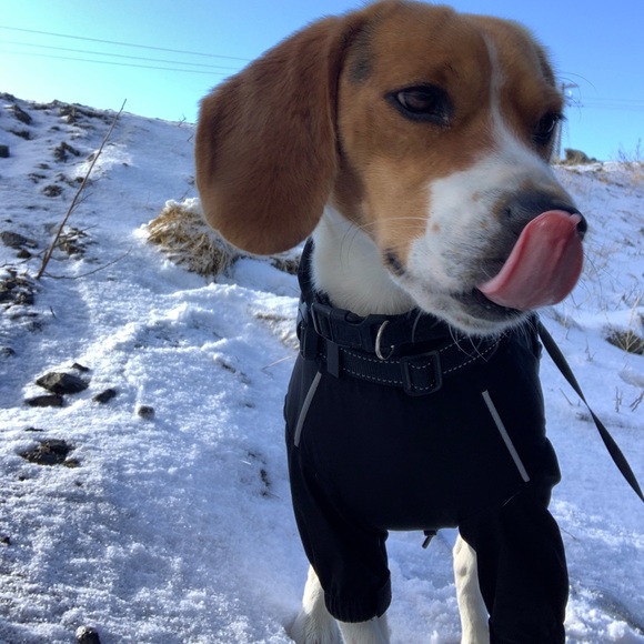 SHOP POLICIES - Picture 4 of 5